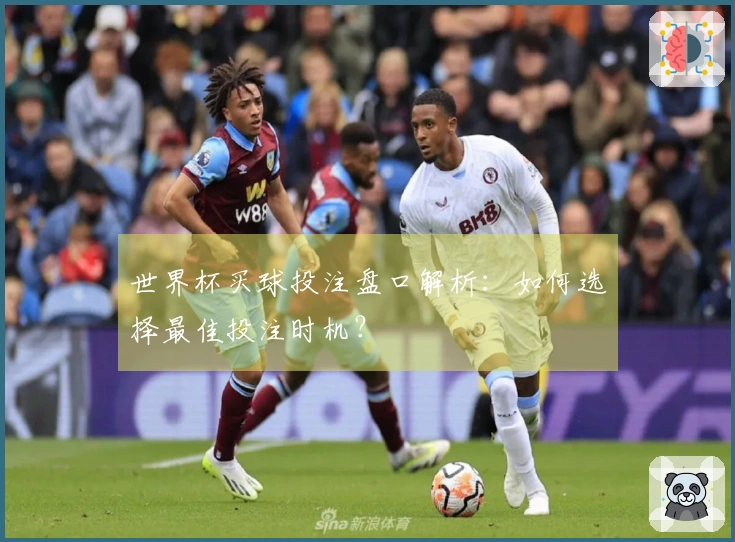 世界杯买球投注盘口解析：如何选择最佳投注时机？