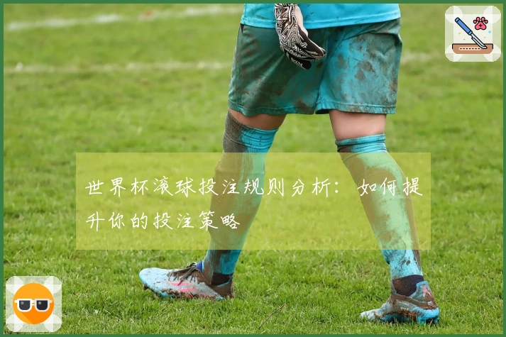 世界杯滚球投注规则分析：如何提升你的投注策略