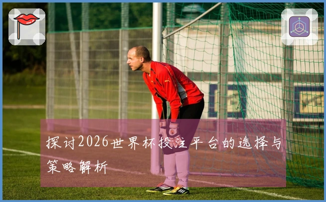 探讨2026世界杯投注平台的选择与策略解析