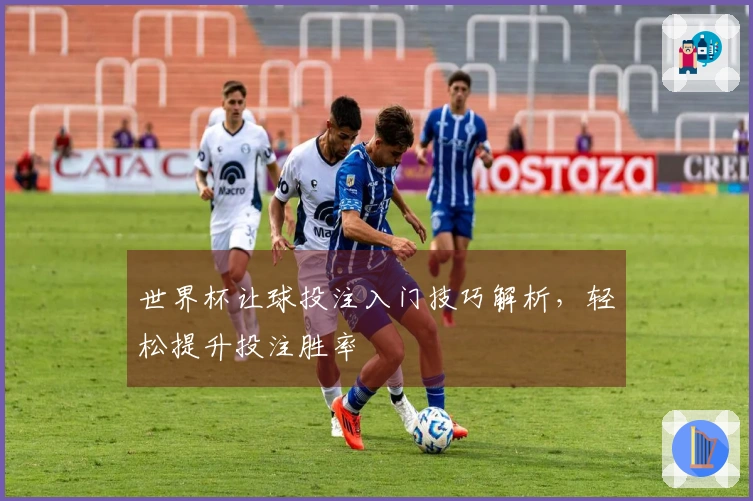 世界杯让球投注入门技巧解析，轻松提升投注胜率