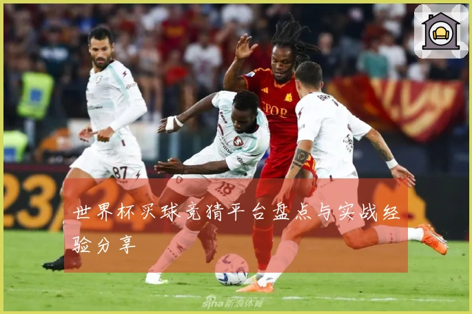 世界杯买球竞猜平台盘点与实战经验分享