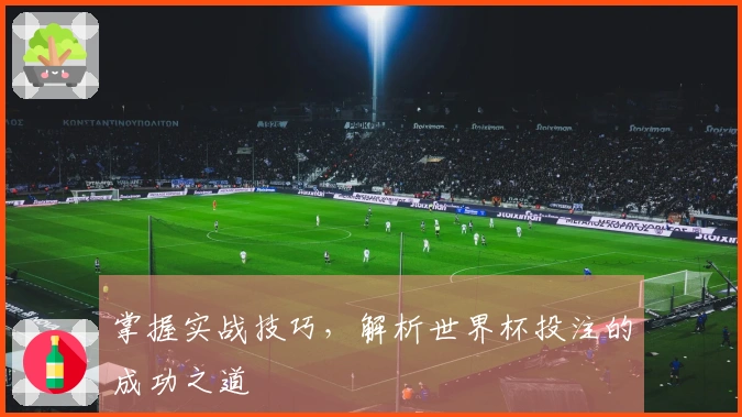 掌握实战技巧，解析世界杯投注的成功之道