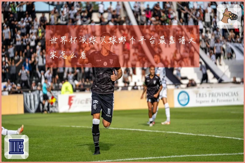 世界杯滚球买球哪个平台最靠谱大家怎么看