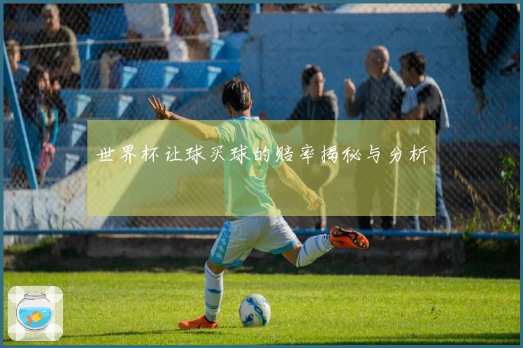 世界杯让球买球的赔率揭秘与分析