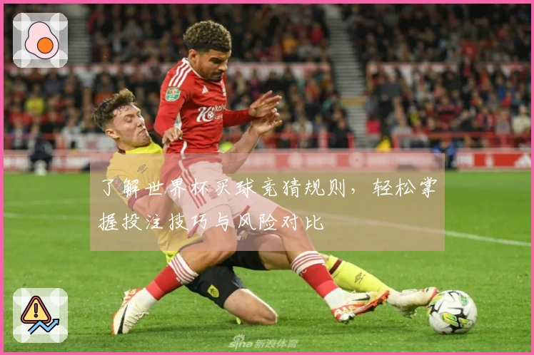 了解世界杯买球竞猜规则，轻松掌握投注技巧与风险对比
