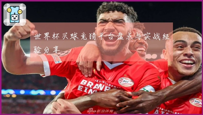 世界杯买球竞猜平台盘点与实战经验分享
