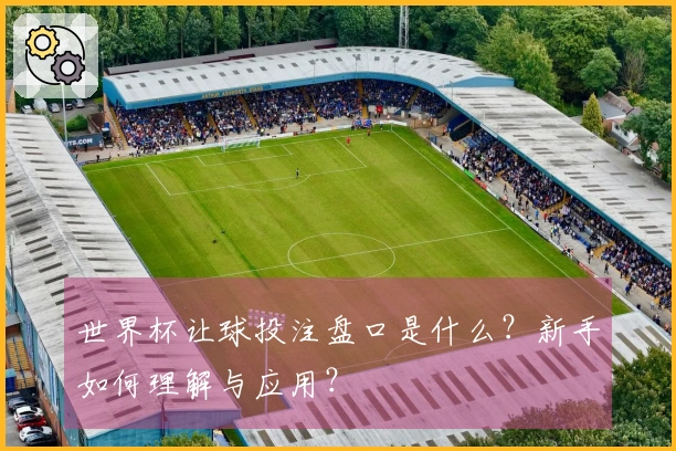 世界杯让球投注盘口是什么?新手如何理解与应用?