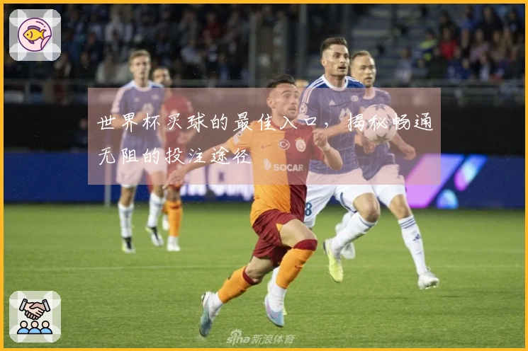 世界杯买球的最佳入口，揭秘畅通无阻的投注途径