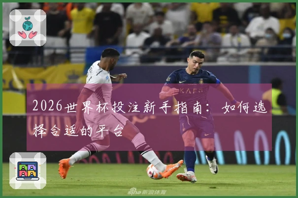 2026世界杯投注新手指南：如何选择合适的平台