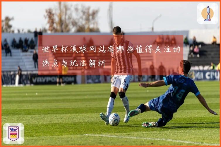 世界杯滚球网站有哪些值得关注的热点与玩法解析