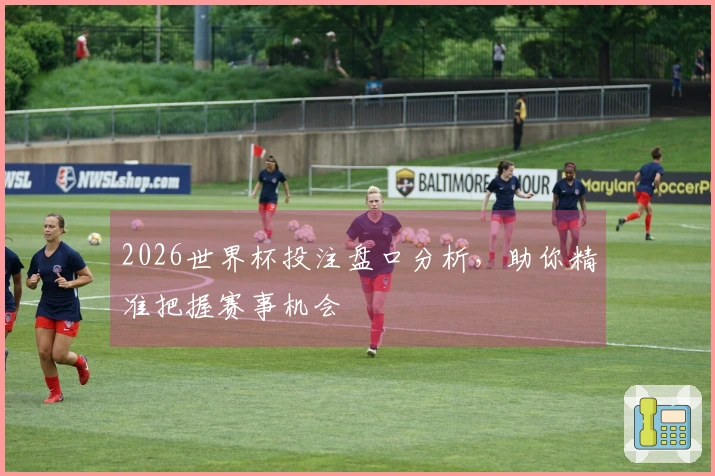 2026世界杯投注盘口分析，助你精准把握赛事机会