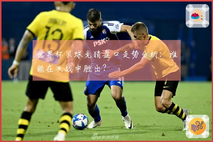 世界杯买球竞猜盘口走势分析：谁能在决战中胜出？