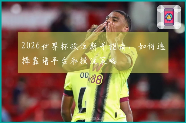 2026世界杯投注新手指南，如何选择靠谱平台和投注策略