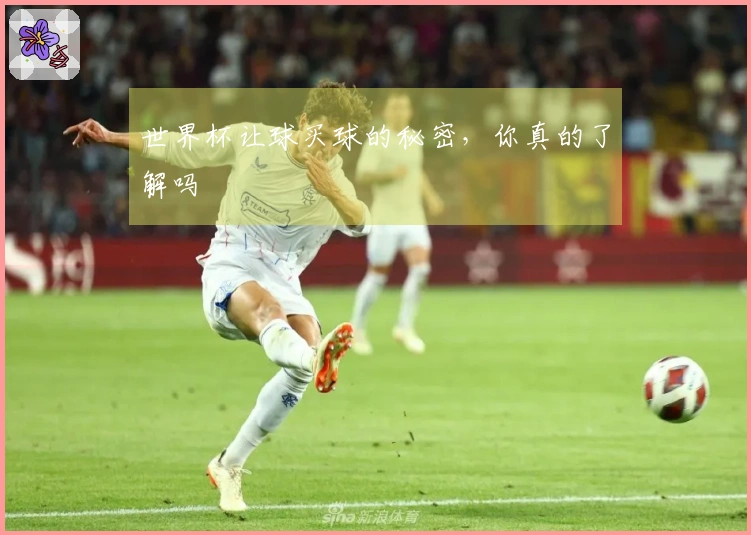 世界杯让球买球的秘密，你真的了解吗