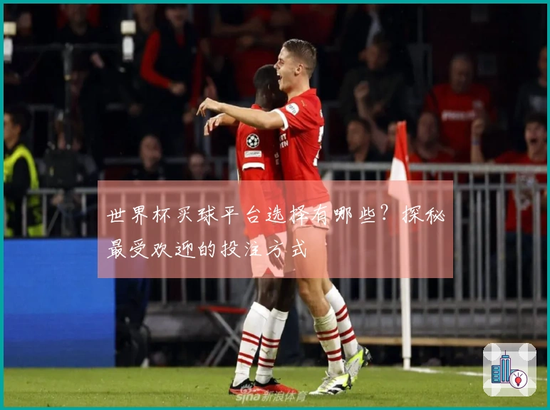 世界杯买球平台选择有哪些？探秘最受欢迎的投注方式