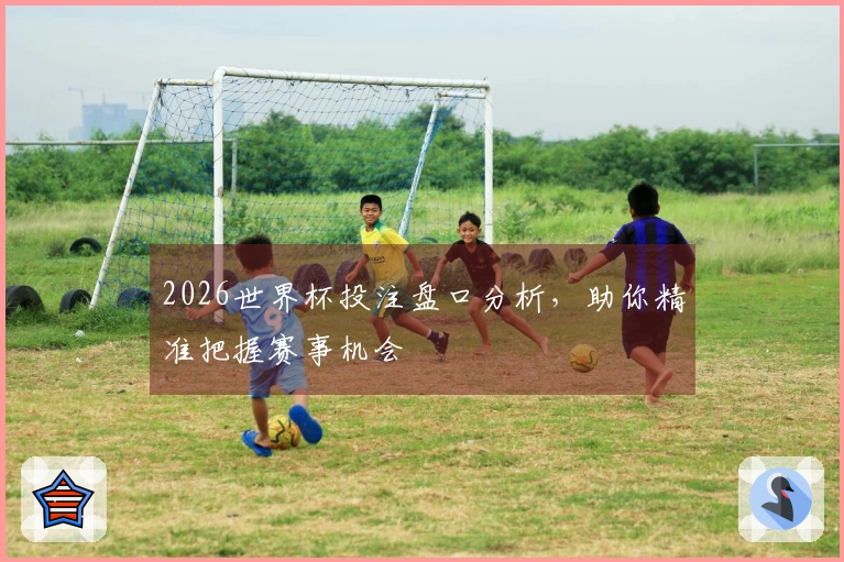 2026世界杯投注盘口分析，助你精准把握赛事机会