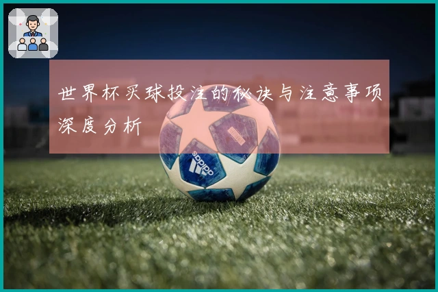 世界杯买球投注的秘诀与注意事项深度分析