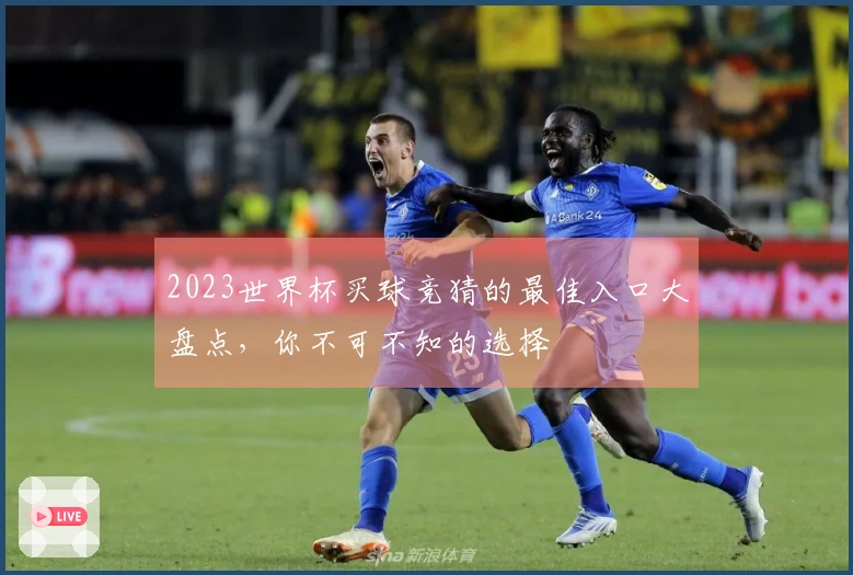 2023世界杯买球竞猜的最佳入口大盘点，你不可不知的选择