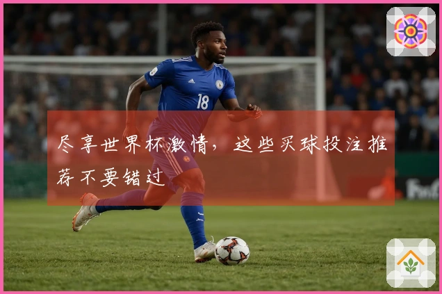 尽享世界杯激情，这些买球投注推荐不要错过