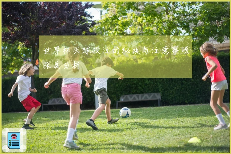 世界杯买球投注的秘诀与注意事项深度分析