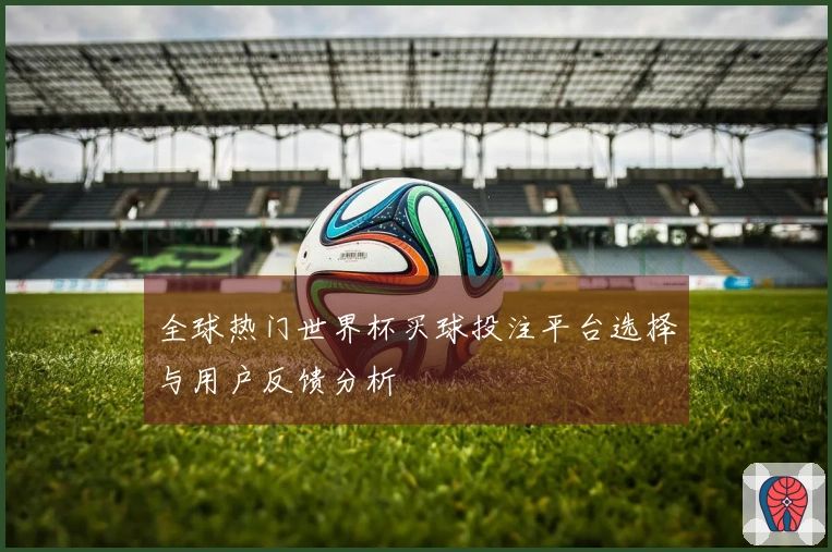 全球热门世界杯买球投注平台选择与用户反馈分析